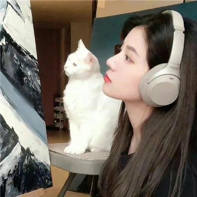月陨回声